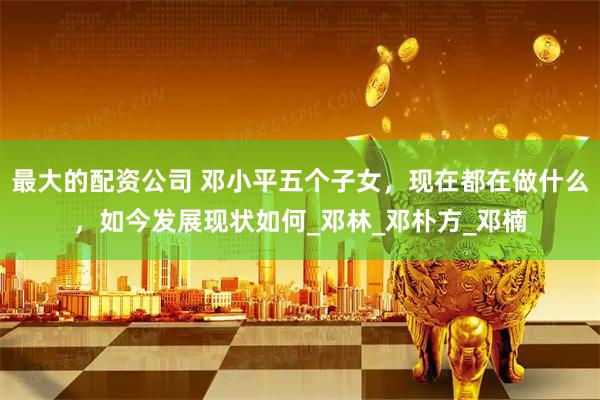 最大的配资公司 邓小平五个子女，现在都在做什么，如今发展现状如何_邓林_邓朴方_邓楠