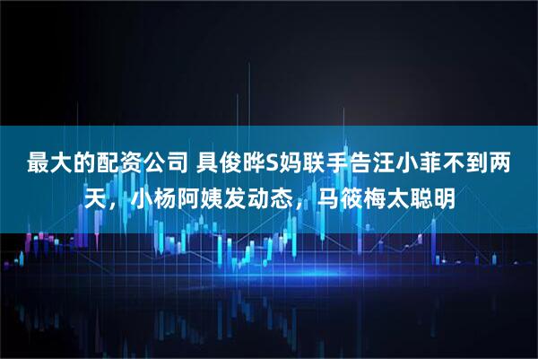 最大的配资公司 具俊晔S妈联手告汪小菲不到两天，小杨阿姨发动态，马筱梅太聪明