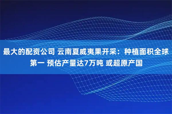 最大的配资公司 云南夏威夷果开采：种植面积全球第一 预估产量达7万吨 或超原产国